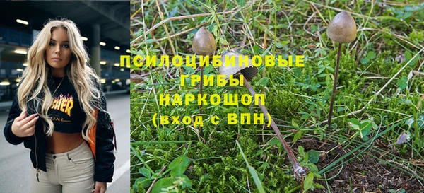 героин Богданович
