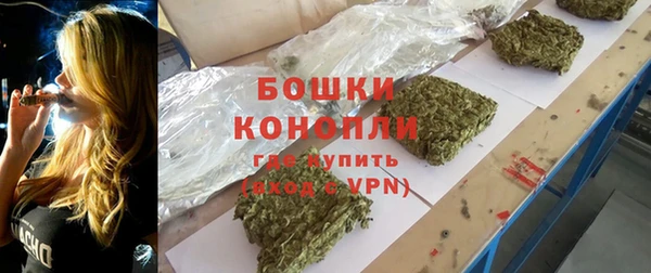 стафф Богородск