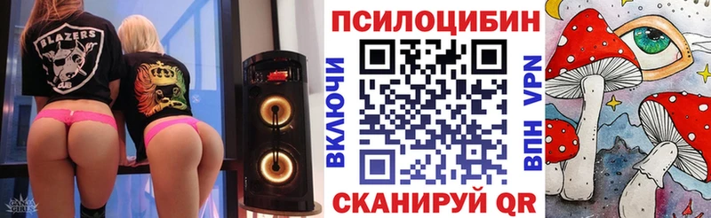 Галлюциногенные грибы Cubensis  Купить закладки  Невьянск 